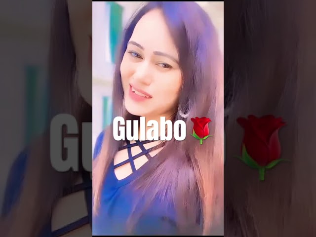 Gulabo 🌹||#youtubeshorts #shortsvideo #viral @roohdreamz7648