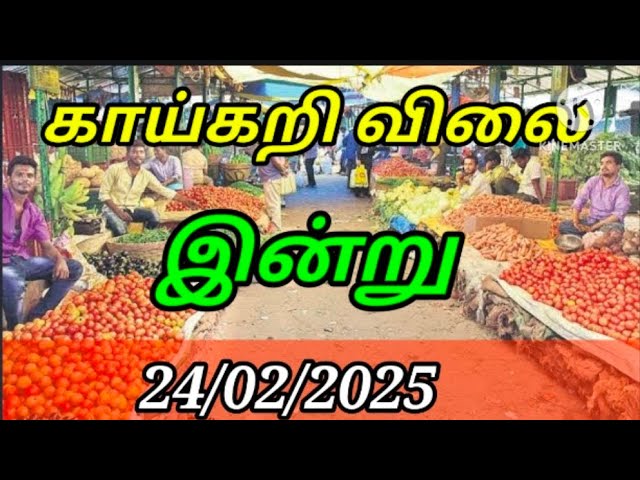 Today vegetables price in Chennai 24/02/2025 | Tamil | இன்று காய்கறி விலை??? Today Vegetable