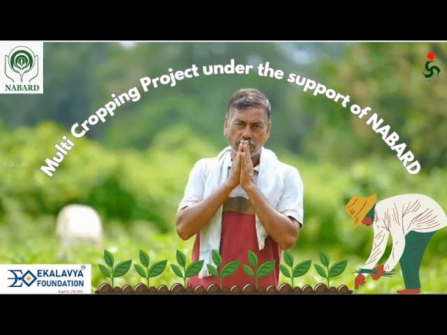 #ekalavyafoundation with #SISS undertakes "Multi Cropping" Project by the support of #nabard