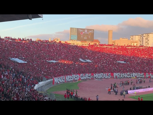 Moroccan Ultras: Uniting Supporters of Wydad and Raja  -  video free no copyright #FreeToUse