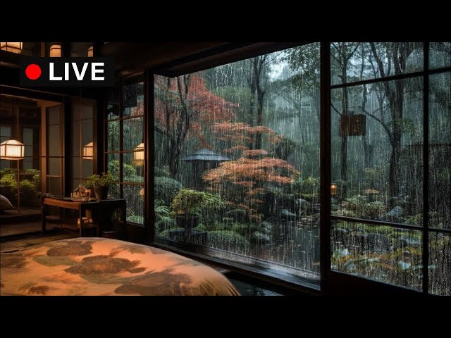 🔴NATURAL RAIN for Sleep & Relaxing & Studying | Rain sound for sleeping