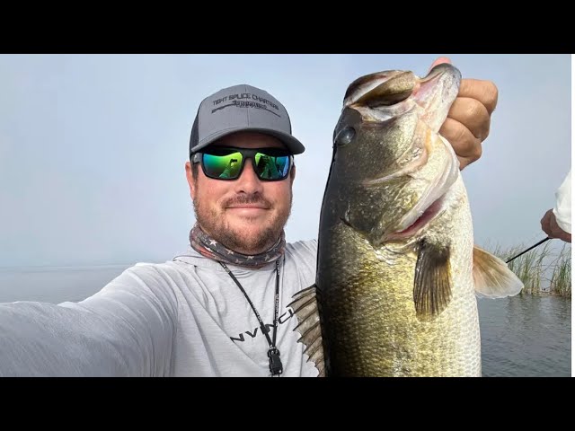 Lake Okeechobee Fall Fishing Report! Big numbers of fish!