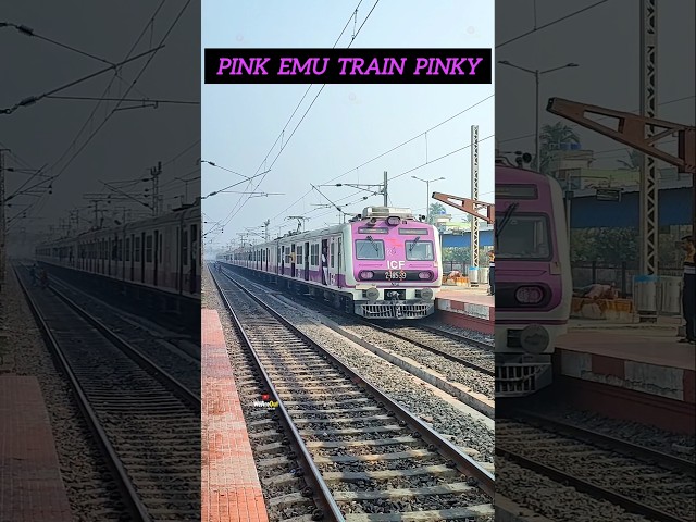 Propulsion Fitted Emu Train Pinky 😯 #indianrailways #train #emu #viral #shorts #trending #video