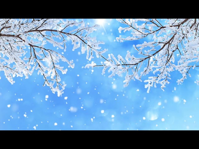 SNOW BACKGROUND VIDEO |  VIDEO NO SOUND NO COPYRIGHT