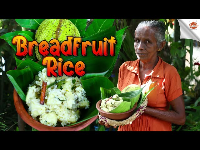 How to make breadfruit  recipe | දෙල් බත |Cuisin of sri lanka