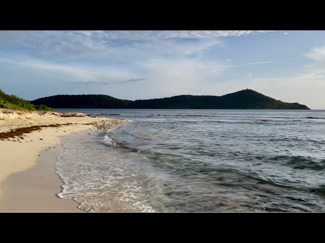 Peaceful Walk Along the Shore of St. Thomas, Virgin Islands