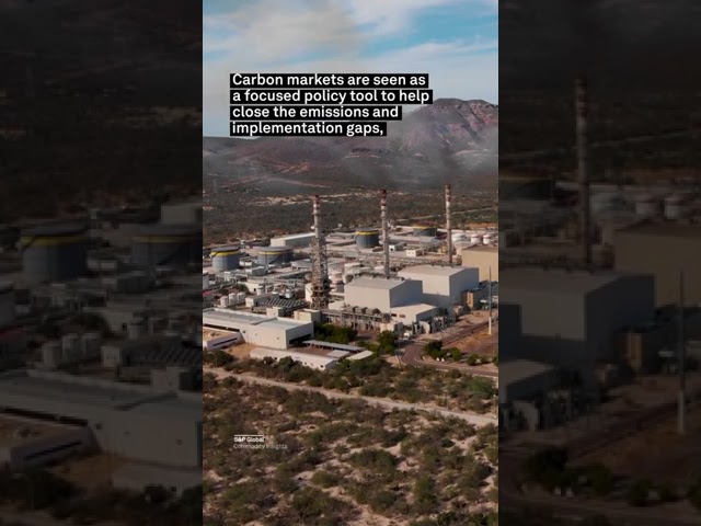 🤔 Can #carbon markets close the emissions gap?  #shorts  #cop28