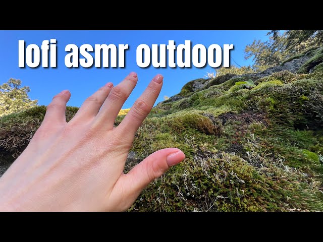 Outdoor ASMR lofi ~ trees, bark, nature & beauty ( I almost fall down 😟😟😟