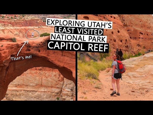 CAPITOL REEF NATIONAL PARK | Cassidy Arch hiking trail, Cohab Canyon & Hickman Bridge