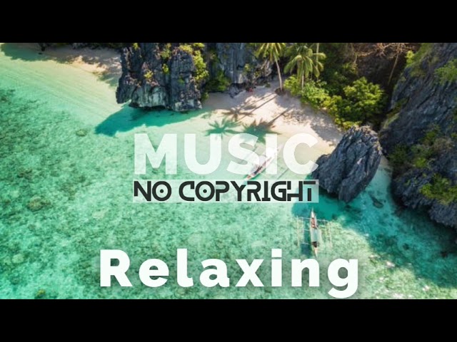 Chill relaxing Background Music - Calm music for relaxing | No Copyright Calm music | Relaxation 🎵