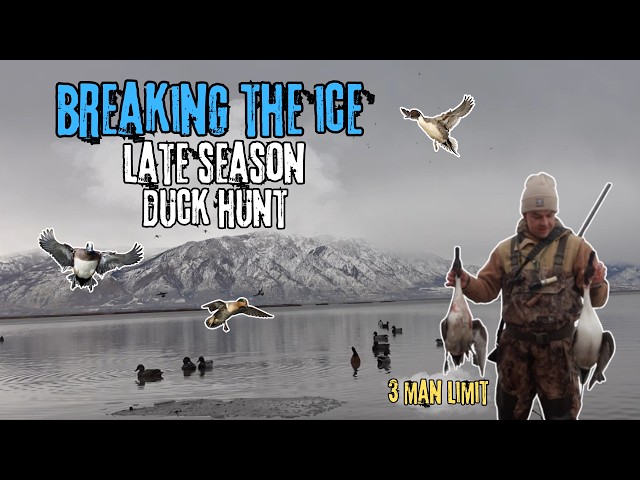 LATE SEASON DUCK HUNT UTAH || 3 MAN LIMIT!!