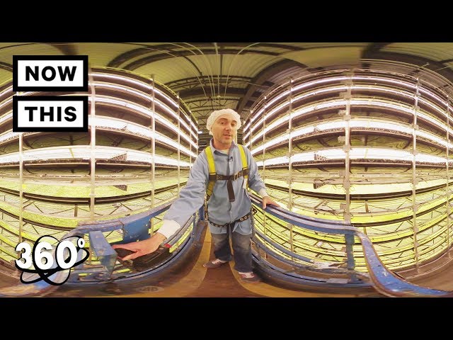 360 TOUR - AeroFarms: The Future of Farming | Unframed by Gear 360 | NowThis