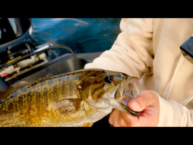 Fishing the Coolest Species of Black Bass - Smallmouth Bass in Lake Hibara, Japan