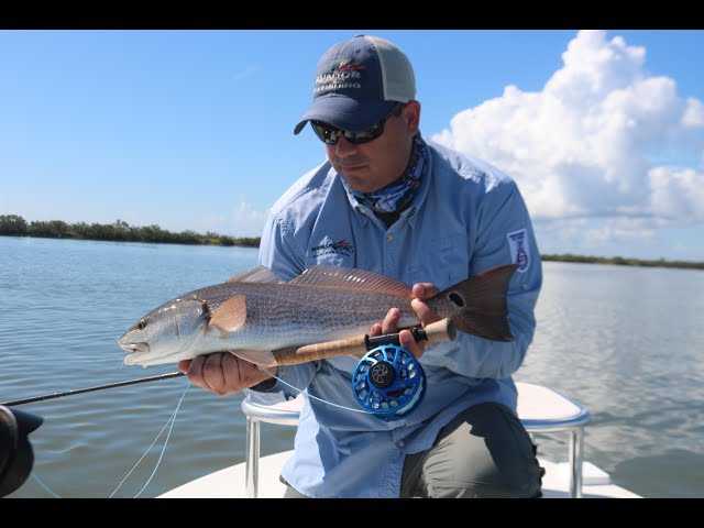 360 Video 🎣 Chase some redfish around fly fishing