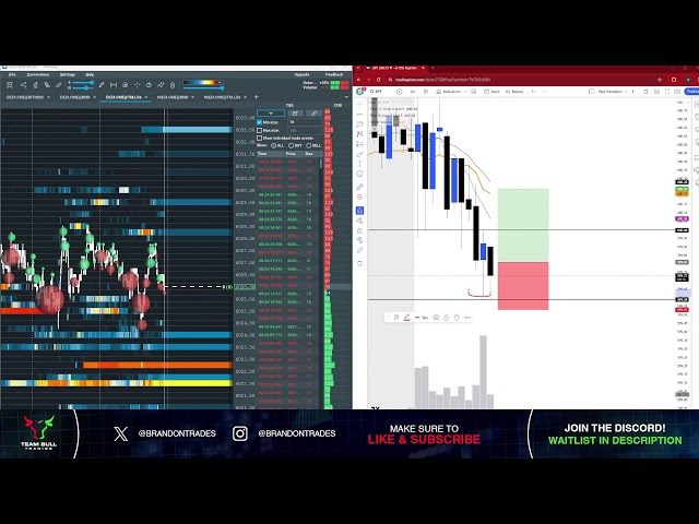 Live Day Trading