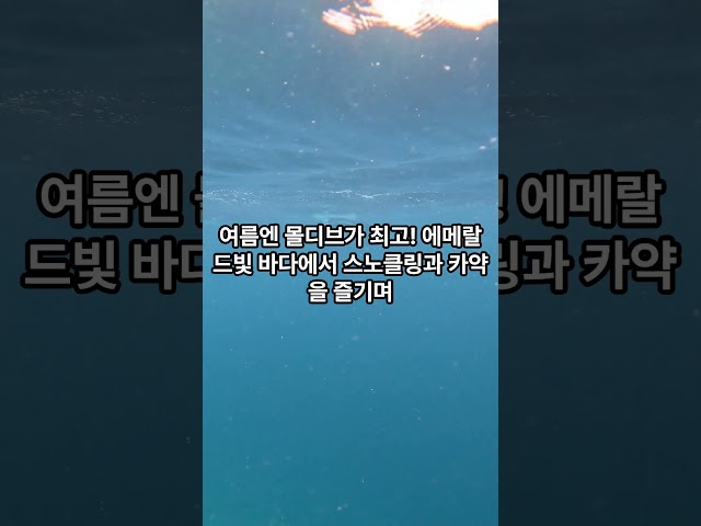 계절 별 최고의 여행지 추천!