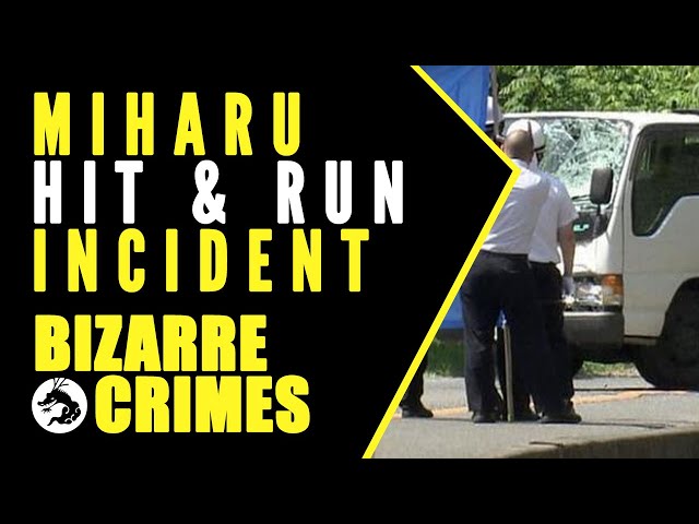 Bizarre Crimes & Disappearances: The Miharu Hit & Run Incident