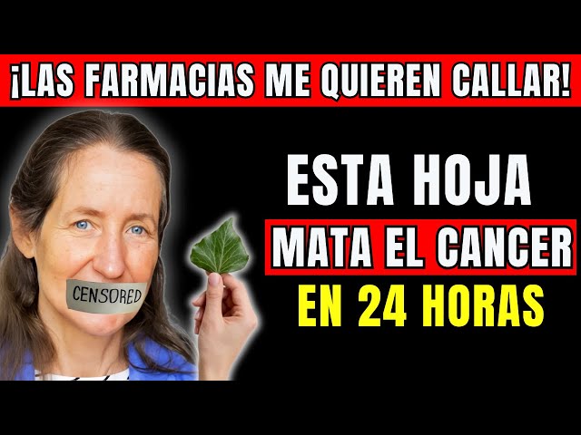 La Hoja que DESTRUYE el Cáncer y que los Médicos NO Quieren que Conozcas - Dra Barbara O’Neill