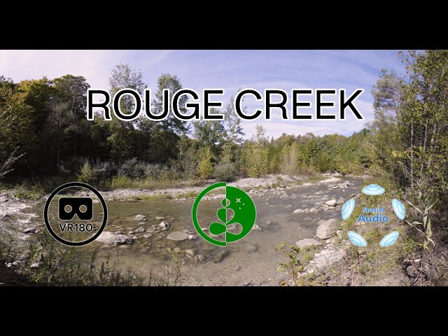 ROUGE CREEK | 8K | VR180 | Spatial Audio