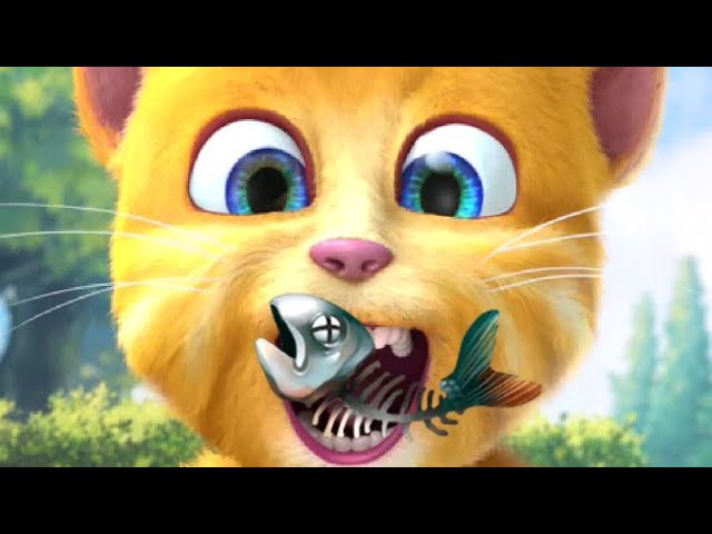 taking ginger funny videos l 🐒🐱🙀🐈😻