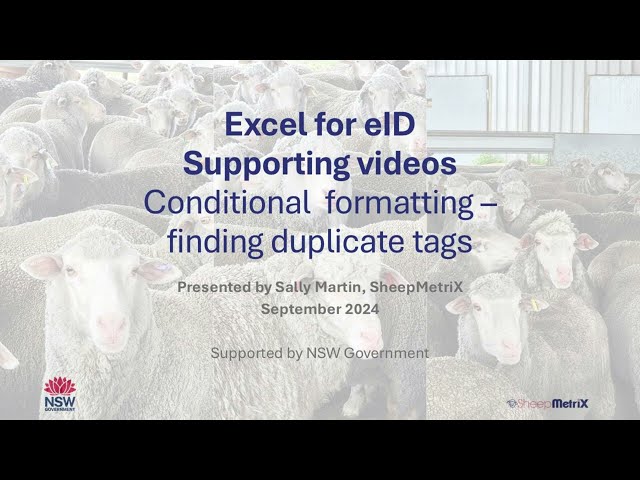 Excel for eID - finding duplicate tags with conditional formatting