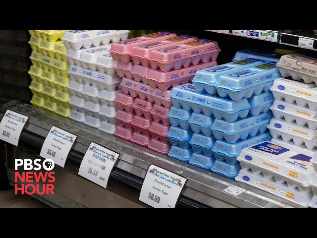 What's causing the price of eggs to skyrocket nationwide?