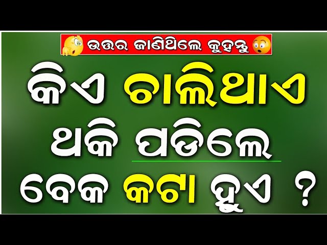 Odia Dhaga Dhamali IAS Questions | Clever Q & Ans | Odia Dhaga katha | Odia Gk |Odisha Education 360