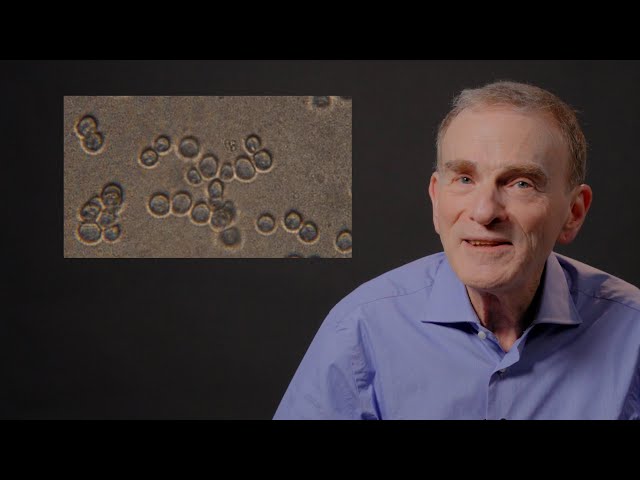 Nobel laureate on how looking closely led to biology breakthrough | 101 in 101