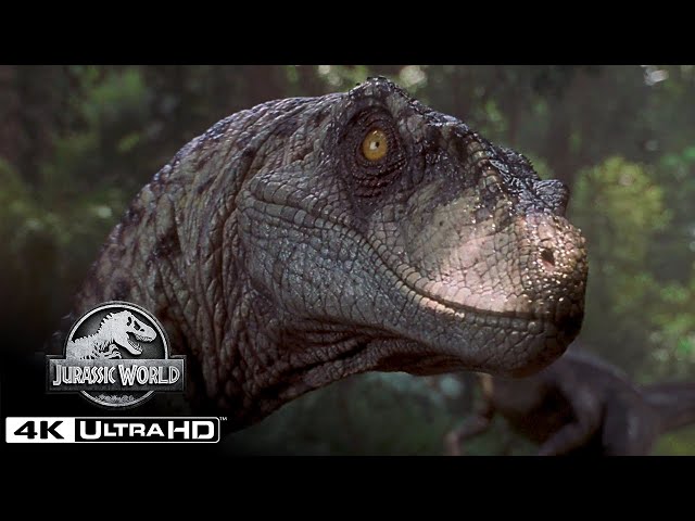 The Best Velociraptor Scenes in 4K HDR | Jurassic World