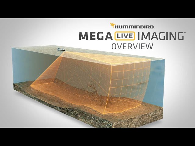 What is MEGA Live Imaging™ & How to Read It | Humminbird