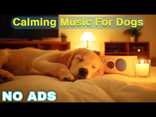 12 HOURS of Dog Calming Music For Dogs🎵💖Anti Separation Anxiety Relief Music🐶Sleep dog Healing🎵