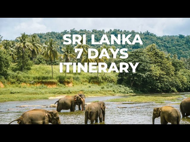 Sri Lanka | Sri Lanka Tour Plan | Amazing Experience | Sri Lanka Safe Country