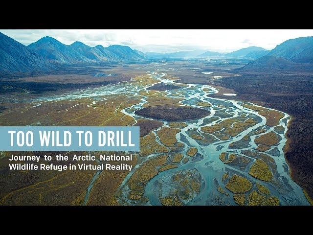 Too Wild To Drill: Journey to the Arctic Refuge in Virtual Reality