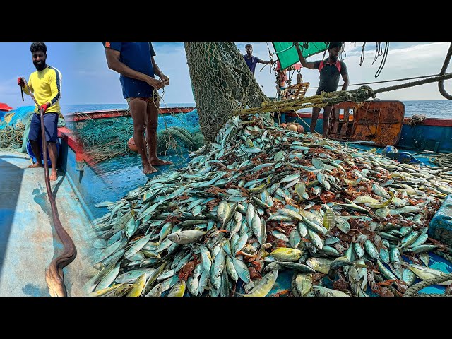 AMAZING! 🤩 We Caught Tons of Mackerel and Trevally Fish in a Single Catch! 😃WOW!"