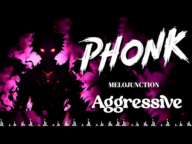 Phonk Music 2024 ※ Best Aggressive Phonk & TikTok Phonk ※ Фонк