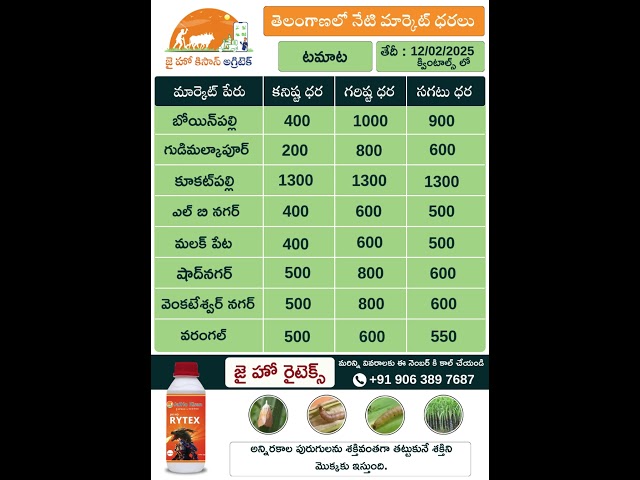 Greenchilli and tomato market rate in Telangana @JaiHoKisan