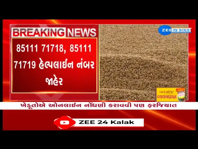 Good News for Farmers Gujarat Govt Announces Wheat Procurement Details, Farmers to Register Online