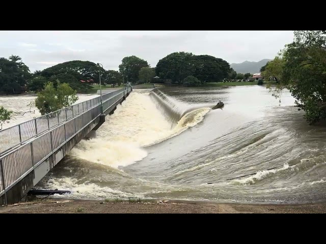 Did you see the barramundi?