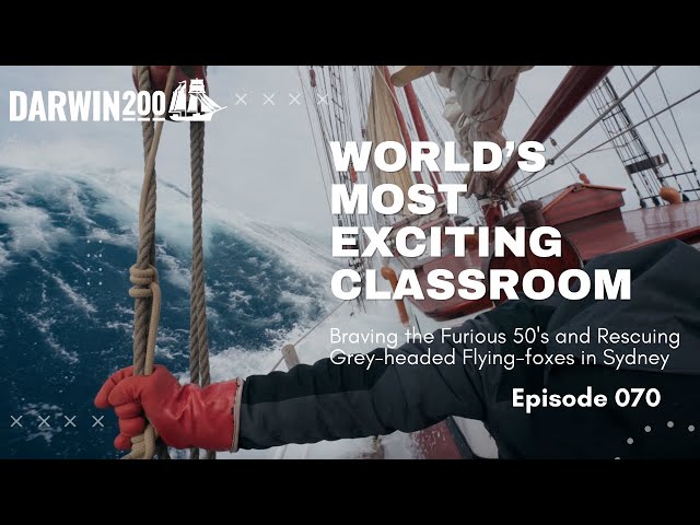 World's Most Exciting Classroom Episode 070: The Furious 50's and Rescuing Grey-Headed Flying-Foxes