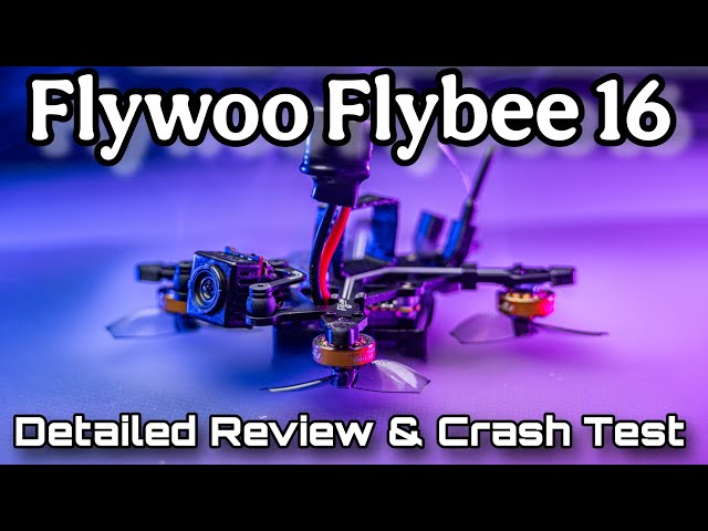 You're About to Witness the MOST INSANE Flywoo Flybee 16 Flight Ever