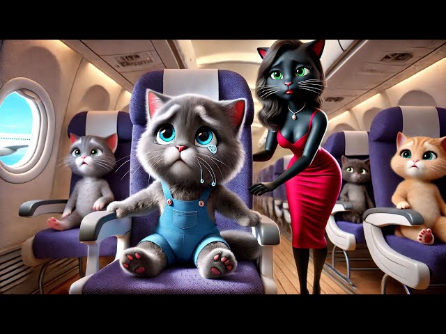 PLANE GOT CRASH POOR CAT | SAD CAT AI STORY | #aicat #catai #catlover #cutecats #sadcatstory