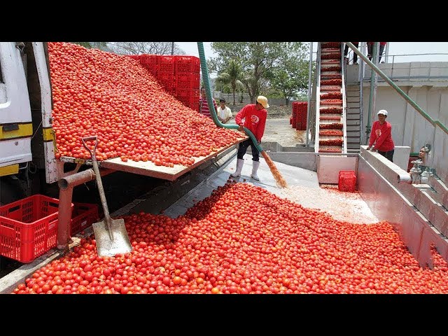 এদের কাজের গতি দেখলে আপনি অবাক হবেন।Fastest worker in the world