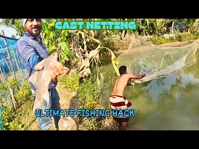 Caught a stunning Black Carp  | Mustafa new Cast Net fishing Video #fishing