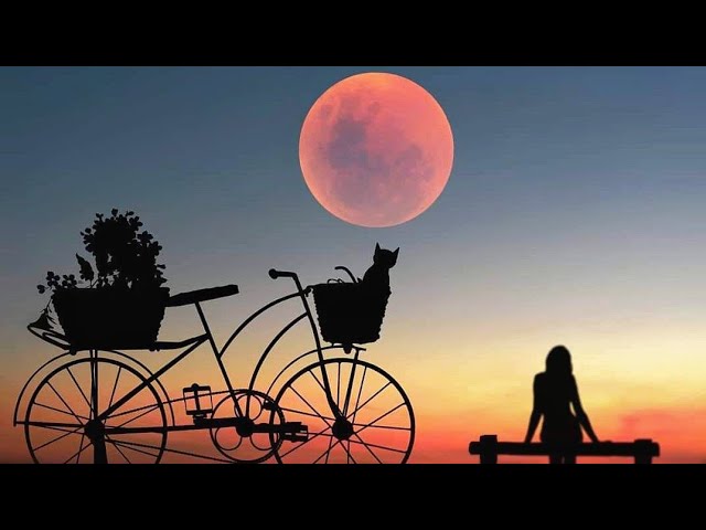 Fantastisc Nature pics || Sun & Moon shadow || part 1