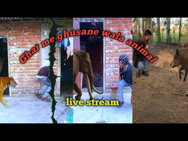 Mini wood toys Ak Ram bhatk ki kahani Magic video #funny #animal mini wood toys live stream