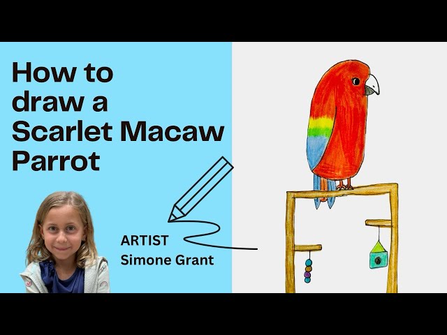 How to draw a Scarlet Macaw Parrot 🦜 with Simone