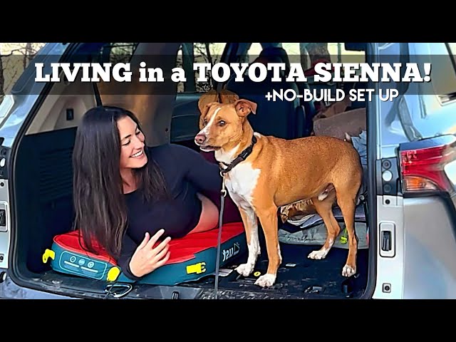 LIVING in a TOYOTA SIENNA hybrid MINI-VAN! After 2.5+ years living in a Prius, is this car next?