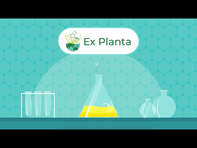 Ex Planta - Unlocking the Power of Synthetic Biology