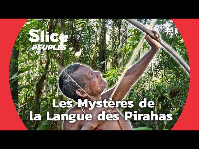 En Amazonie, l'extraordinaire amitié entre un linguiste et les Pirahas | SLICE PEUPLES