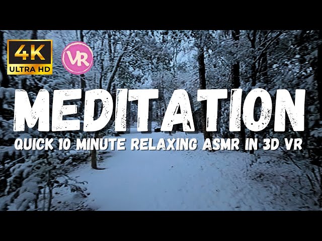 Relaxing Snow Fall with Nature birds and meditation music in 4K, 180 3D VR